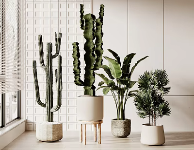 Indoor Bonsai Potted Plants With Cactus Palm And Various Stylish Decor Pots 3d model
