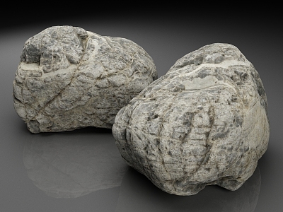 Stone Grey Stone 3d model