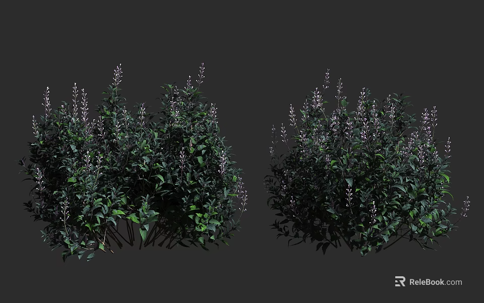 Green Shrubs With Lush Leaves And Purple Flowers Detailed 3d model 