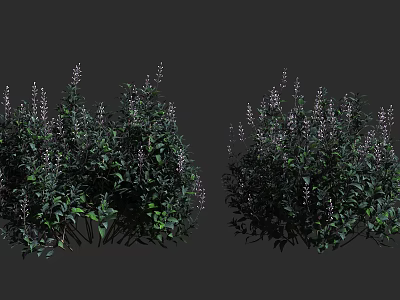 Green Shrubs With Lush Leaves And Purple Flowers Detailed 3d model