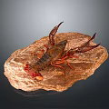 Vibrant Red Lobster Resting on Natural Rock Surface in Studio Setting 3d model