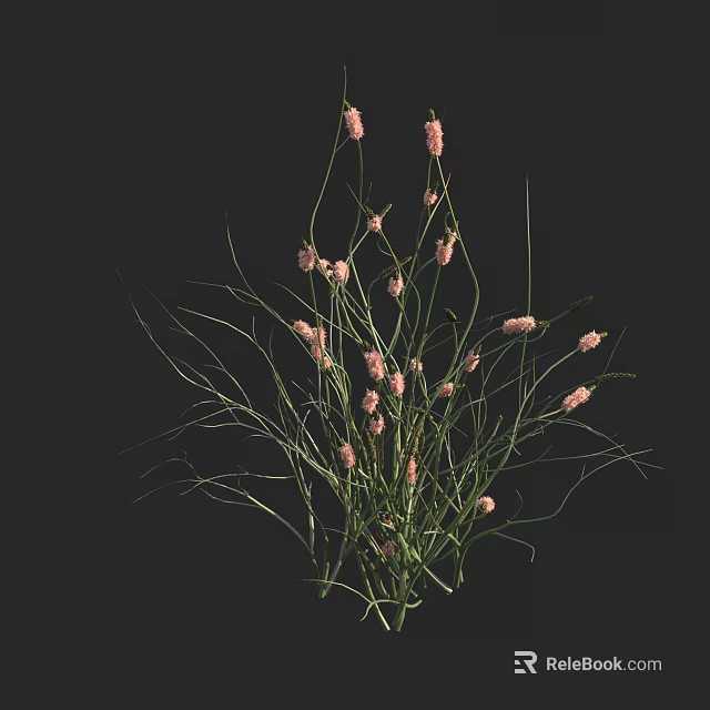 Delicate Pink Flowers With Long Slender Green Leaves Natural Arrangement 3d model 