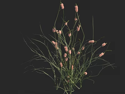 Delicate Pink Flowers With Long Slender Green Leaves Natural Arrangement 3d model