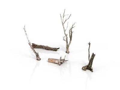 Natural Dry Plant Branches In Various Shapes With Brown And White Textures On White Background 3d model