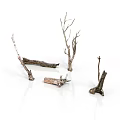 Natural Dry Plant Branches In Various Shapes With Brown And White Textures On White Background