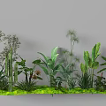 Garden Landscape Design Featuring Diverse Green Plants Ferns Cacti And Banana Leaves