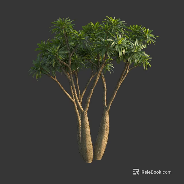 Arbor With Thick Trunks And Lush Green Foliage In Natural Environment 3d model 