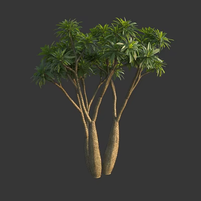 Arbor With Thick Trunks And Lush Green Foliage In Natural Environment 3d model