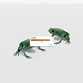 Realistic Two Green Frog Figurines With Detailed Features On White Background