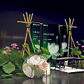 Scenic Photo Check-in Spot With CLEAN RAIN Sign Lotus Flowers Bamboo Structures Greenery And Lanterns 3d model