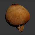 Fresh Orange Onion with Shiny Surface on Gray Background Healthy Vegetable