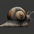 Orange Brown Spiral Shell Reptile Snail with Long Tentacles and Grey Background Reflection