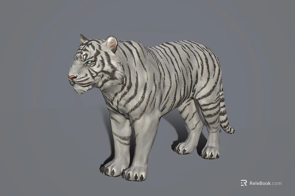 Realistic Detailed 3D Model of White Tiger in Standing Position 3d model 