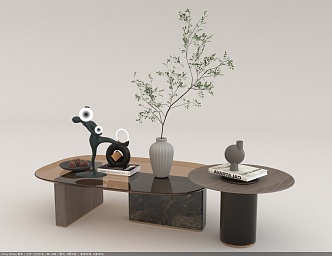 Living room coffee table decoration combination 3d model