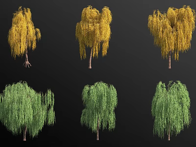 Willow Arbor with Yellow Green Drooping Branches and Natural Foliage Variants 3d model