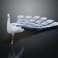 Modern Peacock White Peacock 3d model