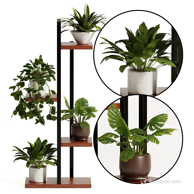 Indoor Decorative Potted Plants Display On Multi Tiered Shelf With Green Leaves And Various Pots 3d model 