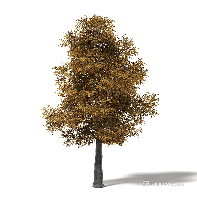 Tall Autumn Arbor Tree With Yellow And Brown Foliage In Natural Scene 3d model 