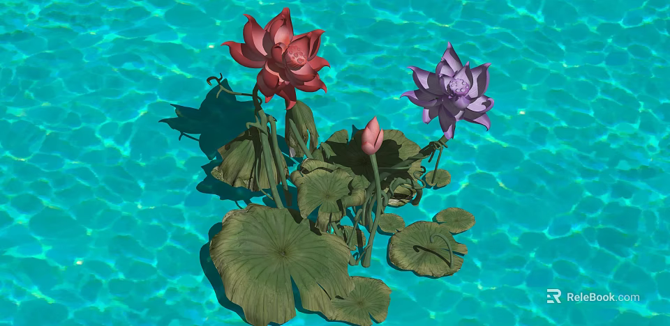 Aquatic Plants With Red Purple Lotus Flowers Buds And Green Lily Pads On Water Surface 3d model 