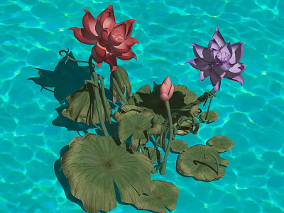 Aquatic Plants With Red Purple Lotus Flowers Buds And Green Lily Pads On Water Surface 3d model