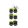 Bonsai Potted Plants Arranged On Multi tiered Wooden Shelf With Various Green Plants And Yellow Flowers For Indoor Decor