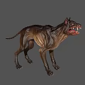 Ferocious Monster Dog With Sharp Teeth And Muscular Body On Gray Background