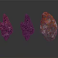 Three Wooden Stone Pieces With Varied Textures And Colors Showing Natural Surface Patterns