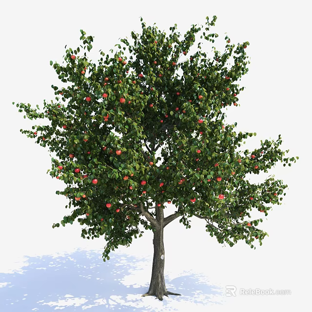 Lush Green Tree with Dense Foliage and Red Fruits in Outdoor Setting 3d model 