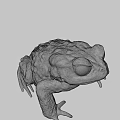 Gray Frog Sculpture 3D Model With Textured Surface And Lifelike Pose