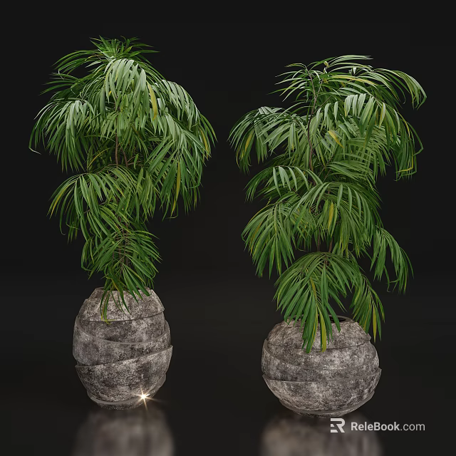 Bonsai Potted Plants With Lush Feathery Green Leaves In Stone Planters 3d model 
