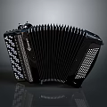 Black Concertina Accordion With White Keys Bellows And Decorative Patterns For Household Use