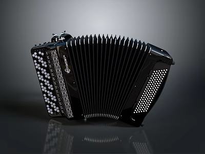 Black Concertina Accordion With White Keys Bellows And Decorative Patterns For Household Use 3d model