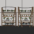 Bonsai Potted Plants On Wooden Multi tiered Arc Shaped Indoor Shelves