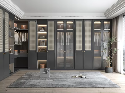 Modern Walk in Closet Interior With Glass Doors And Built in Lighting 3d model