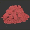 Coral Polyps Creating Intricate Grayish Brown Formation With Red And Brown Granular Base