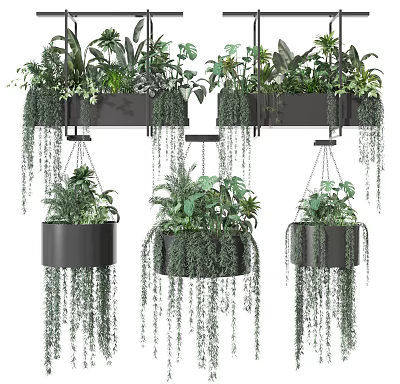 Stylish Hanging Bonsai Potted Plants With Trailing Greenery And Modern Containers 3d model