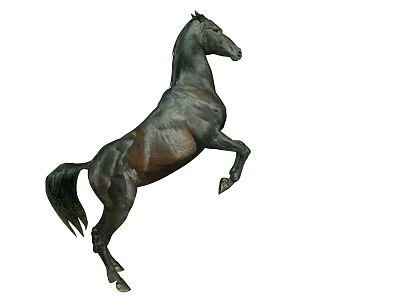Majestic Black Horse Rearing On Hind Legs With Powerful Stance Isolated White Background 3d model