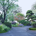 Garden Landscape Design With Diverse Trees Shrubs Stone Path And Rock Features 3d model