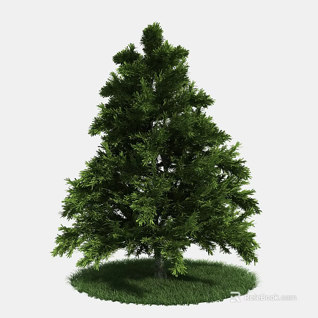 Tall Green Arbor With Lush Dense Foliage Standing On Fresh Green Grass 3d model 