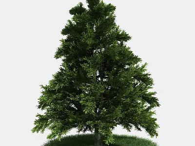Tall Green Arbor With Lush Dense Foliage Standing On Fresh Green Grass 3d model