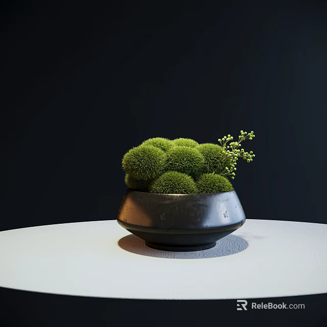 Green Spherical Bonsai Potted Plant In Black Ceramic Pot With Small Twigs 3d model 