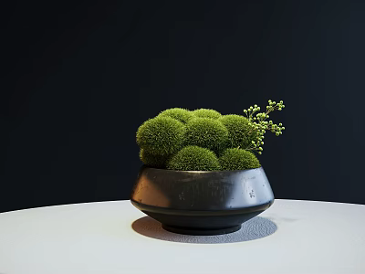 Green Spherical Bonsai Potted Plant In Black Ceramic Pot With Small Twigs 3d model