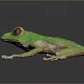 Artisan Crafted Lifelike Green Frog With Vibrant Red Eyes And Detailed Limbs