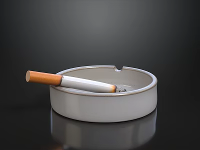 Tobacco and Liquor Store Featuring Cigarettes and Ashtray Products for Customers 3d model