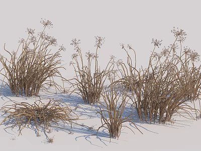 modern grass plant weed 3d model