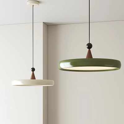 Hanging Modern Green And White Pendant Lights With Wooden Round Shade Design 3d model