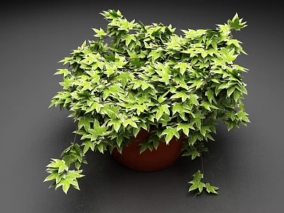 Lush Green Potted Plant With Vibrant Leaves And Trailing Vines In Brown Pot 3d model