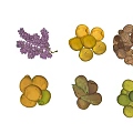 Fresh Assorted Fruits Variety Including Grapes Oranges Lemons Apples And Plums For Healthy Diet