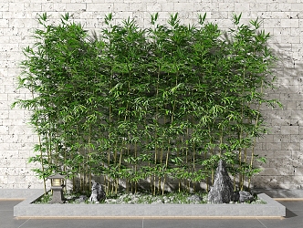 Bamboo 3d model