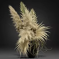 Cream Colored Dried Pampas Grass And Palm Leaves In Black Vase Decor